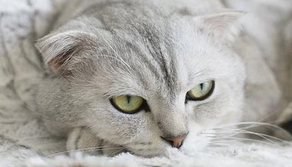 kaiyun的云端之旅：把日常变成可持续的光